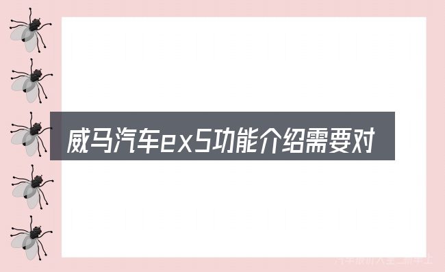 威马汽车ex5功能介绍需要对齐的几件事