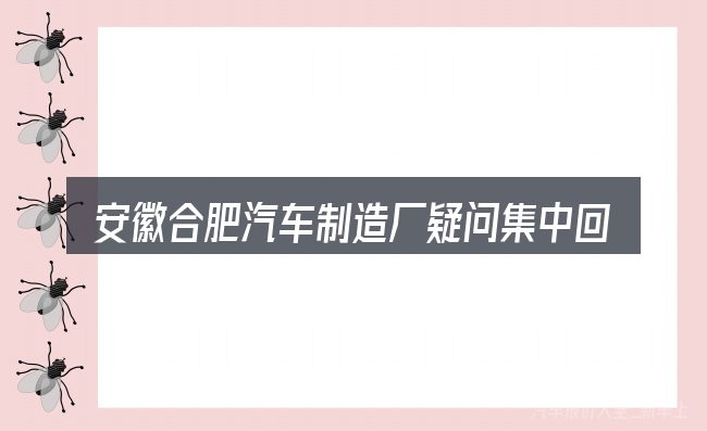 安徽合肥汽车制造厂疑问集中回答