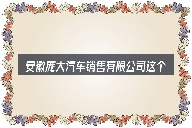 安徽庞大汽车销售有限公司这个概念怎么理解