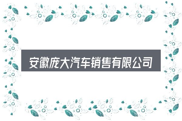 关于安徽庞大汽车销售有限公司，把标准对齐就好办了