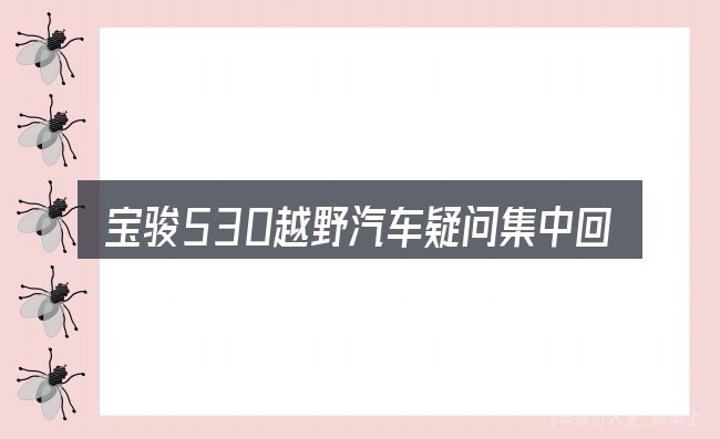宝骏530越野汽车疑问集中回答