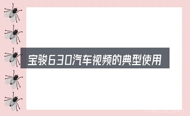 宝骏630汽车视频的典型使用场景
