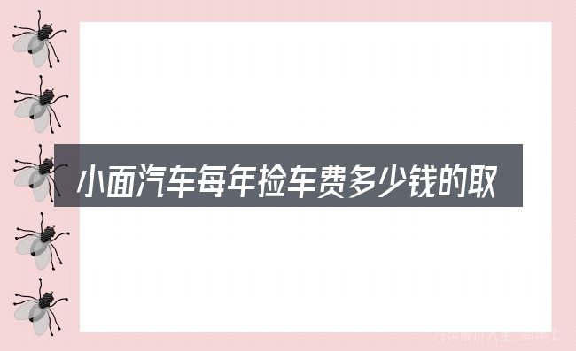 小面汽车每年捡车费多少钱的取舍逻辑