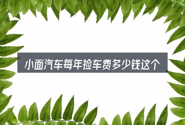 小面汽车每年捡车费多少钱这个概念怎么理解