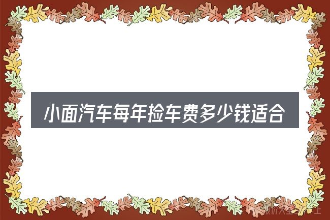 小面汽车每年捡车费多少钱适合哪些场景