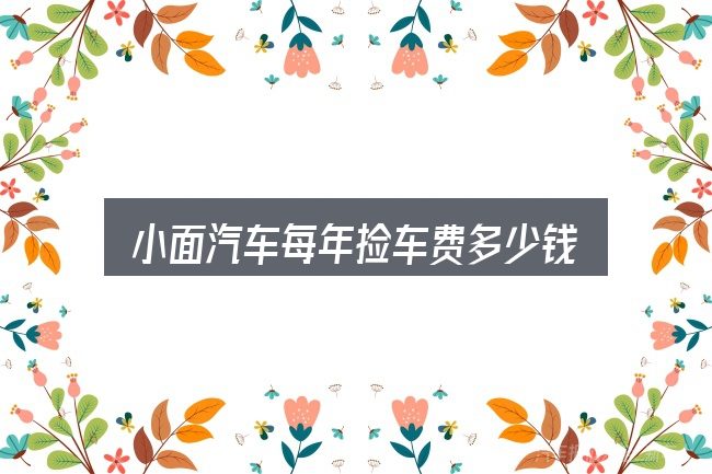 小面汽车每年捡车费多少钱，关键问题集中回答