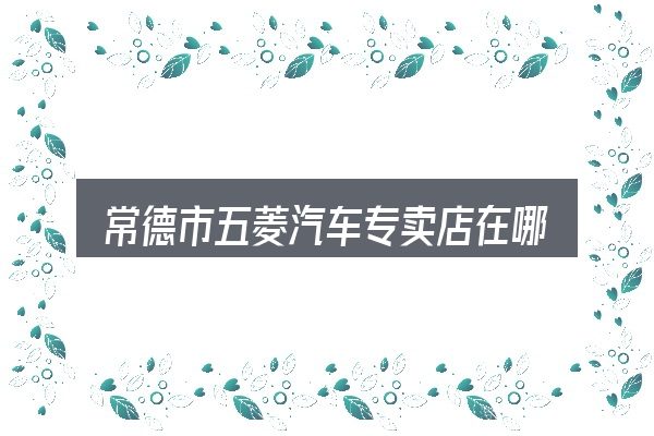 常德市五菱汽车专卖店在哪里怎么选？关键环节逐一拆解