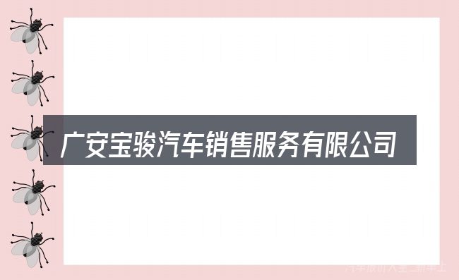 广安宝骏汽车销售服务有限公司这个概念怎么理解