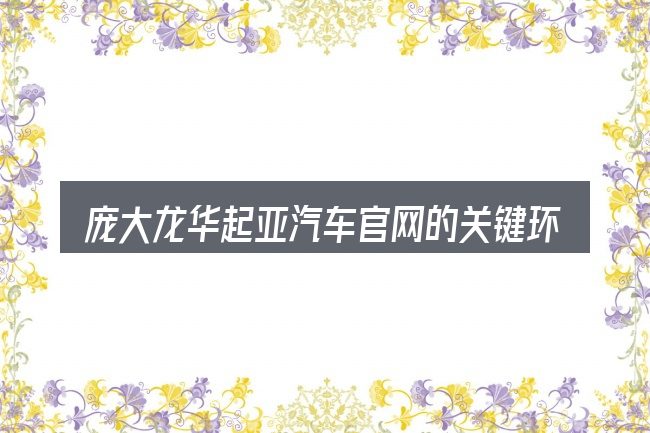 庞大龙华起亚汽车官网的关键环节