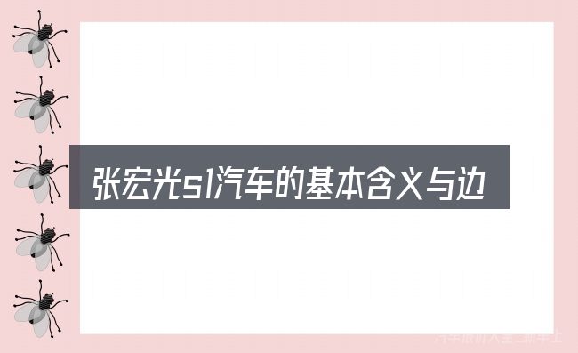 张宏光s1汽车的基本含义与边界