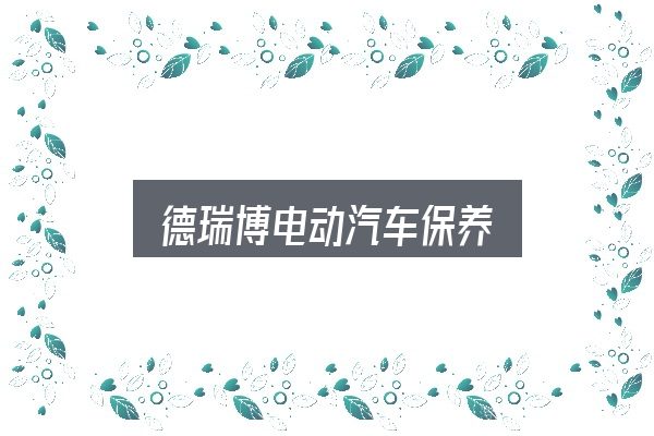 德瑞博电动汽车保养入门笔记：从入门到精通的梳理