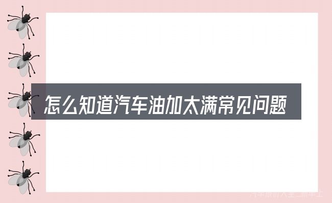 怎么知道汽车油加太满常见问题解答