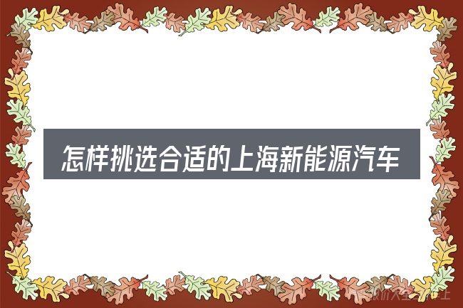 怎样挑选合适的上海新能源汽车