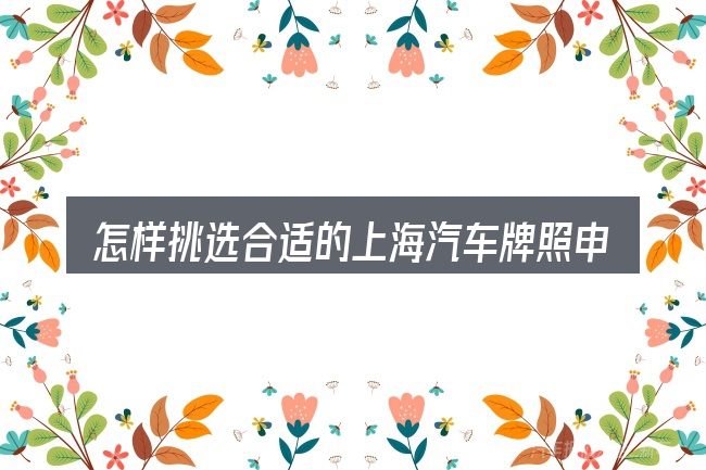 怎样挑选合适的上海汽车牌照申领办法