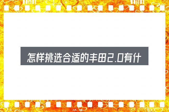 怎样挑选合适的丰田2.0有什么汽车之家