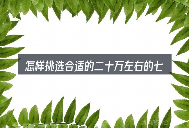 怎样挑选合适的二十万左右的七座suv汽车
