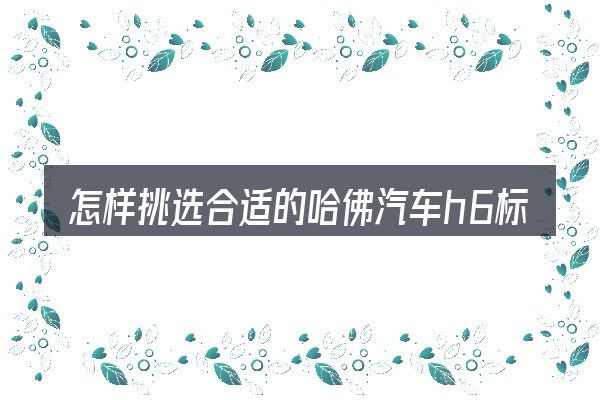 怎样挑选合适的哈佛汽车h6标配价格