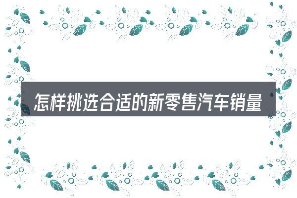 怎样挑选合适的新零售汽车销量