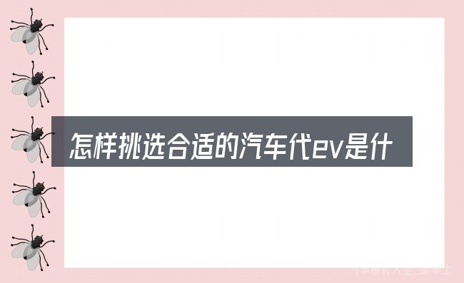 怎样挑选合适的汽车代ev是什么意思