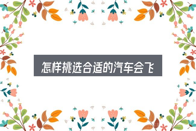 怎样挑选合适的汽车会飞