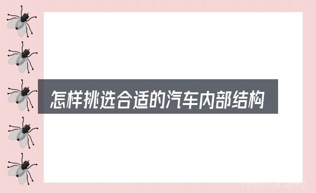 怎样挑选合适的汽车内部结构