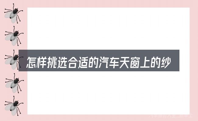 怎样挑选合适的汽车天窗上的纱网有什么用