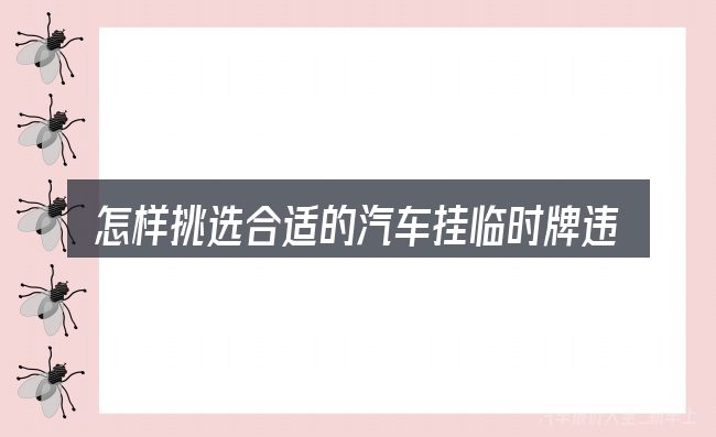 怎样挑选合适的汽车挂临时牌违章