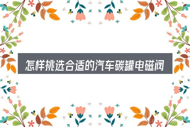 怎样挑选合适的汽车碳罐电磁阀的原理