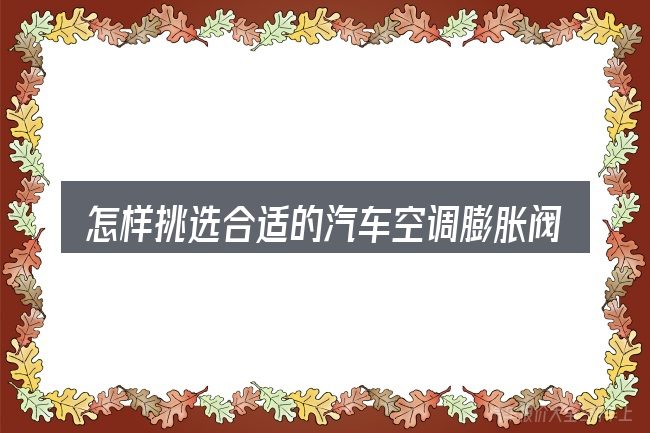 怎样挑选合适的汽车空调膨胀阀在高压管还是低压管