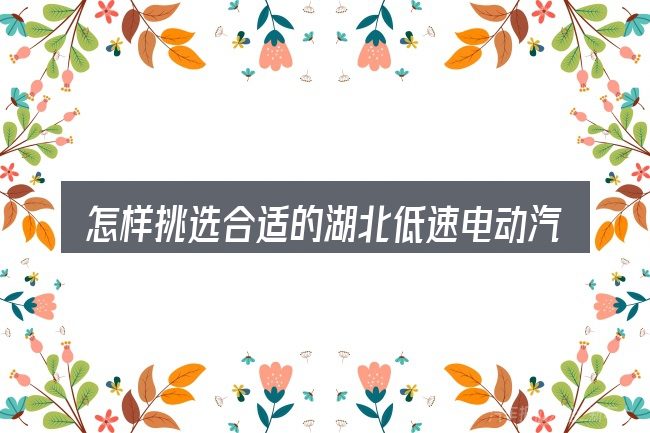怎样挑选合适的湖北低速电动汽车网