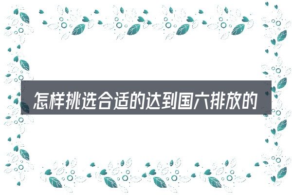 怎样挑选合适的达到国六排放的汽车有哪些