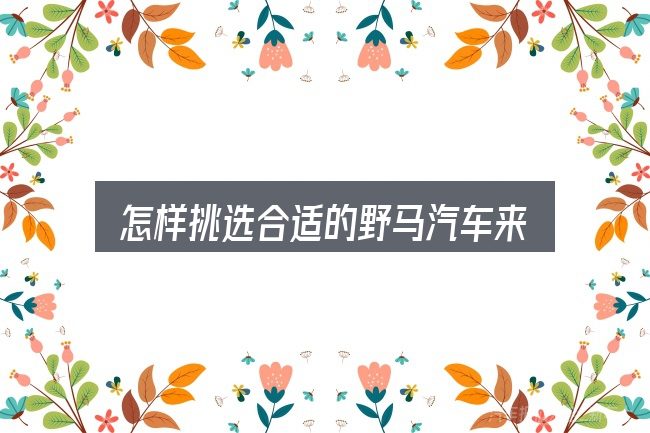 怎样挑选合适的野马汽车来