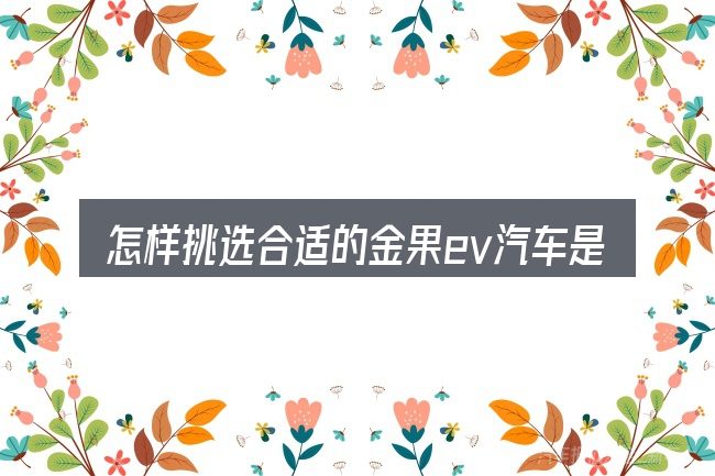 怎样挑选合适的金果ev汽车是哪家公司