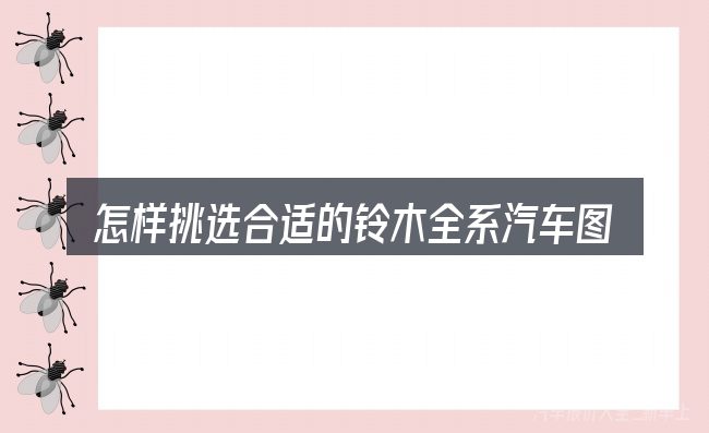 怎样挑选合适的铃木全系汽车图片及报价