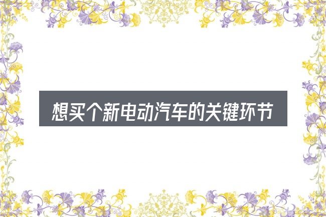 想买个新电动汽车的关键环节