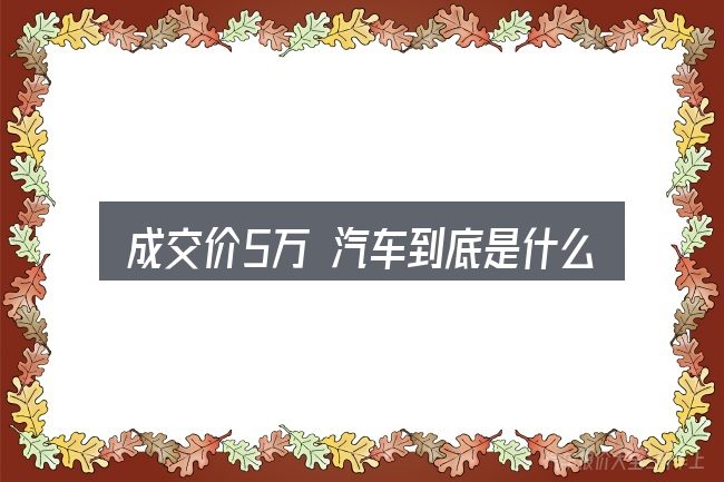 成交价5万 汽车到底是什么