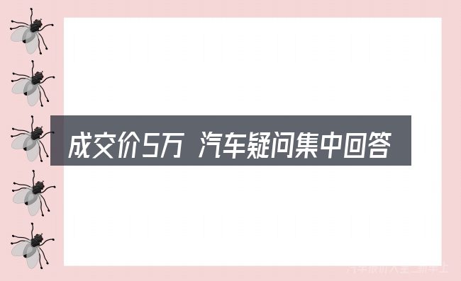 成交价5万 汽车疑问集中回答