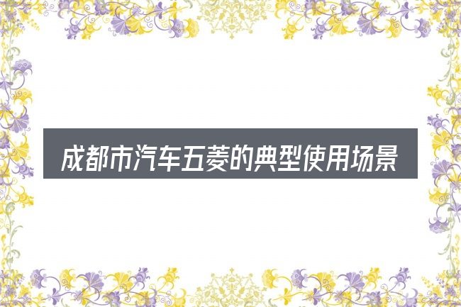 成都市汽车五菱的典型使用场景