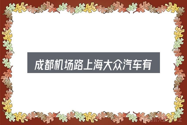 成都机场路上海大众汽车有限公司实用指南：看完能少走弯路