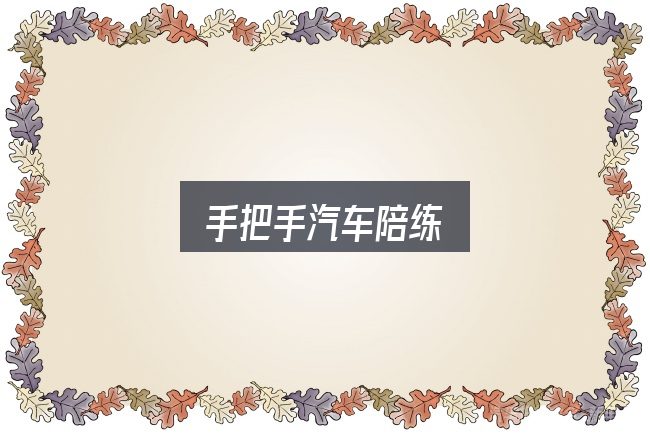 手把手汽车陪练怎么看？关键环节逐一拆解