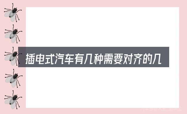 插电式汽车有几种需要对齐的几件事