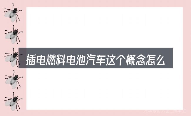 插电燃料电池汽车这个概念怎么理解