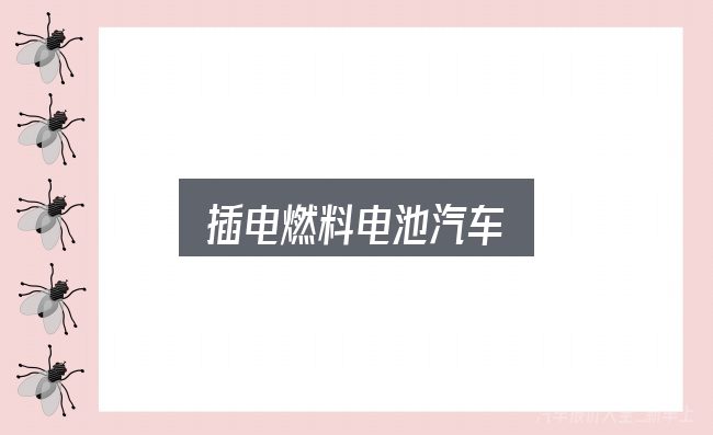 插电燃料电池汽车实用指南：一篇够用的入门资料
