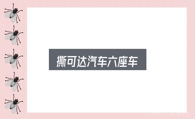撕可达汽车六座车是什么？核心要点与常见问题