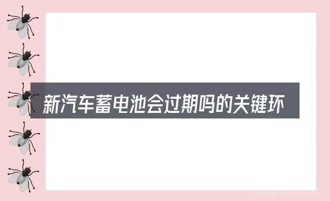 新汽车蓄电池会过期吗的关键环节