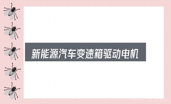 新能源汽车变速箱驱动电机实用指南：一份写给新手的说明
