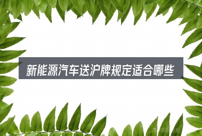 新能源汽车送沪牌规定适合哪些场景