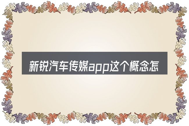 新锐汽车传媒app这个概念怎么理解