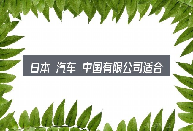 日本 汽车 中国有限公司适合哪些场景