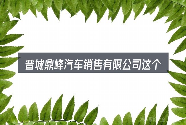 晋城鼎峰汽车销售有限公司这个概念怎么理解